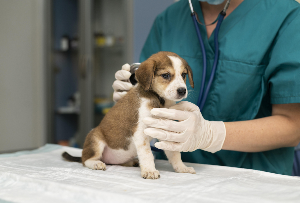 Centro Veterinario Eurovillas